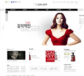 대구홈페이지제작 웹트로 제작실적