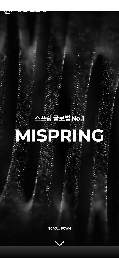 대구홈페이지제작 명인스프링